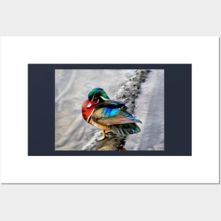 Wood Duck with Watercolor Effects Posters and Art